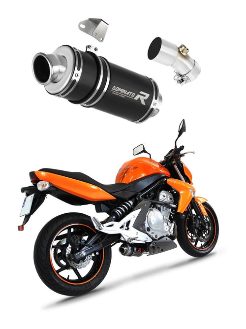 Kawasaki ER - 6 N / F 650 2009 - 2011 Exhaust Silencer Muffler GP1 BLACK + dB killer medium