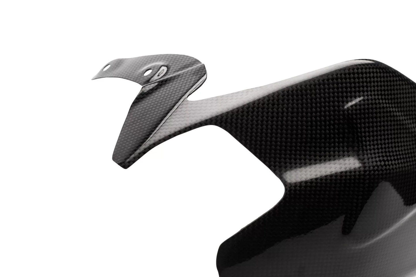 DUCATI Panigale V2 Carbon Fiber Swingarm Cover