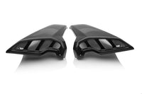 YAMAHA MT09 FZ09 2017-2020 Carbon Fiber Air Intake Covers