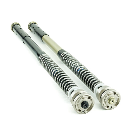 Front Fork Cartridges TRDS-R RS660
