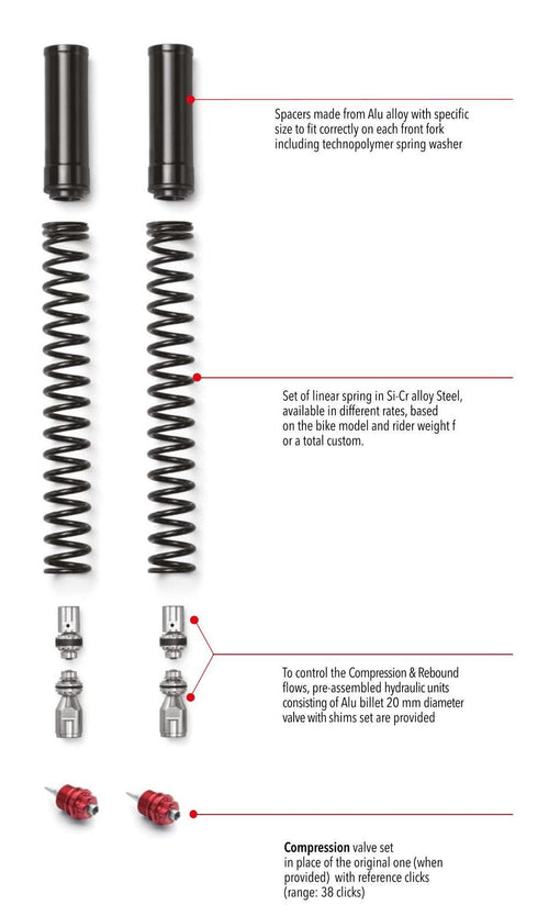 Fork KIT FRK MULTISTRADA 1000 DS 2003 - 2006