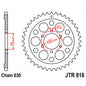 Galinė žvaigždė JT JTR818,42