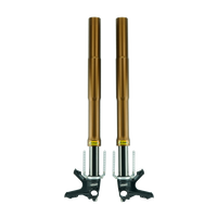 Front Fork KTR-5 with Through Rod DAMPING SYSTEM