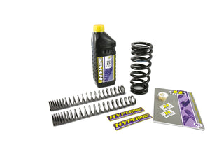 '-25mm Lowering SPRINGS KAWASAKI Z650